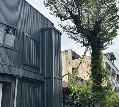 台中鐵皮屋案例